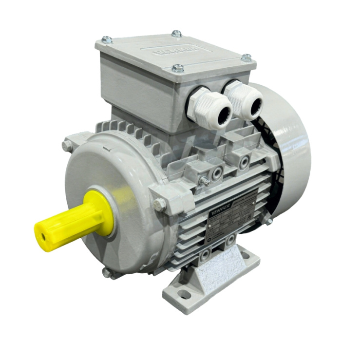 Электродвигатель асинхронный АИС 100L2 3/3000 У2 исп 1081 DIN VEMPER