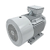 Электродвигатель асинхронный АИС 250М 55/3000 У2 исп 1081 DIN VEMPER