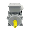 Электродвигатель асинхронный АИС 100L2 3/3000 У2 исп 1081 DIN VEMPER