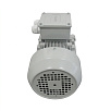 Электродвигатель асинхронный АИС 100L2 3/3000 У2 исп 1081 DIN VEMPER