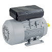 Однофазный электродвигатель АИСЕ 100L2 3/3000 У2 исп 1081 DIN VEMPER
