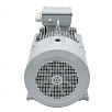 Электродвигатель асинхронный АИС 250М 55/3000 У2 исп 1081 DIN VEMPER