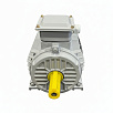 Электродвигатель асинхронный АИР 100L2 5,5/3000  У2 исп 1001  ELAN